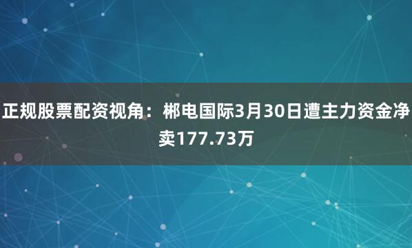 正规股票配资视角：郴电国际3月30日遭主力资金净卖177.73万