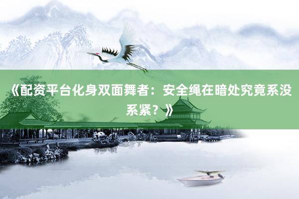 《配资平台化身双面舞者：安全绳在暗处究竟系没系紧？》