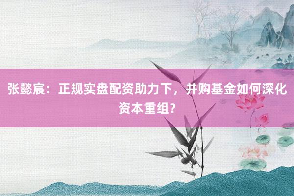 张懿宸：正规实盘配资助力下，并购基金如何深化资本重组？